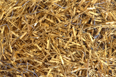 снп розетка вес кг 